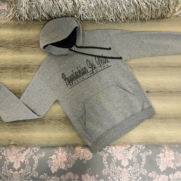 APPALACHIAN DKI MOUNTAIN Gray Long Sleeve Sweatshirt Hoodie Pullover BOON NC - Picture 1 of 10